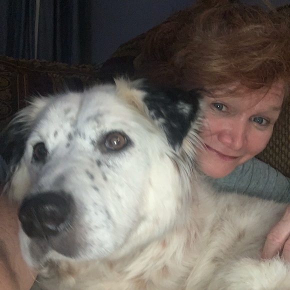 Meet your Posher, Lisa - Picture 1 of 1